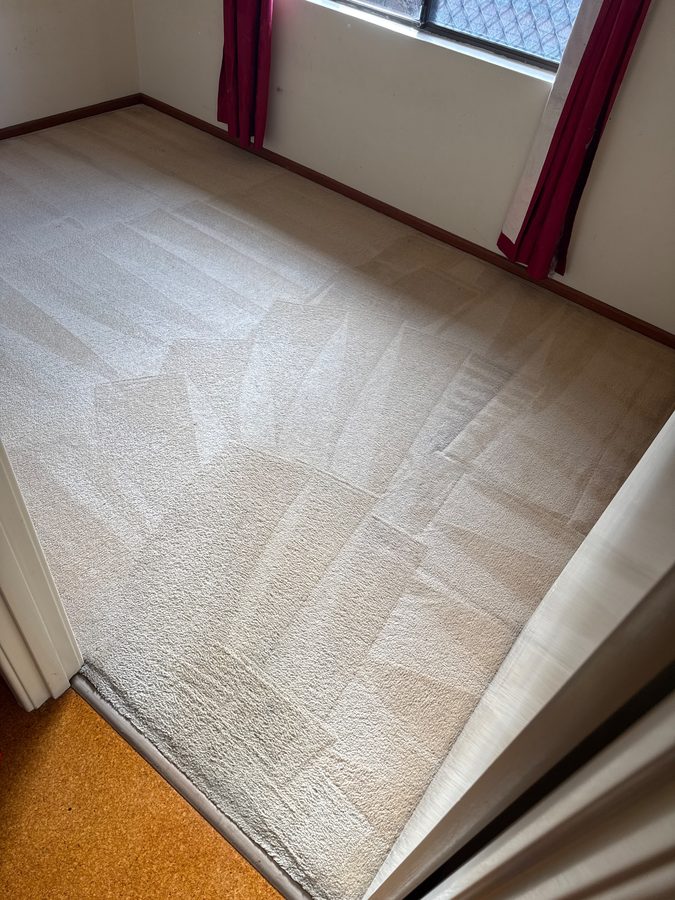 Room 2 in Aveley after ProFresh cleaning