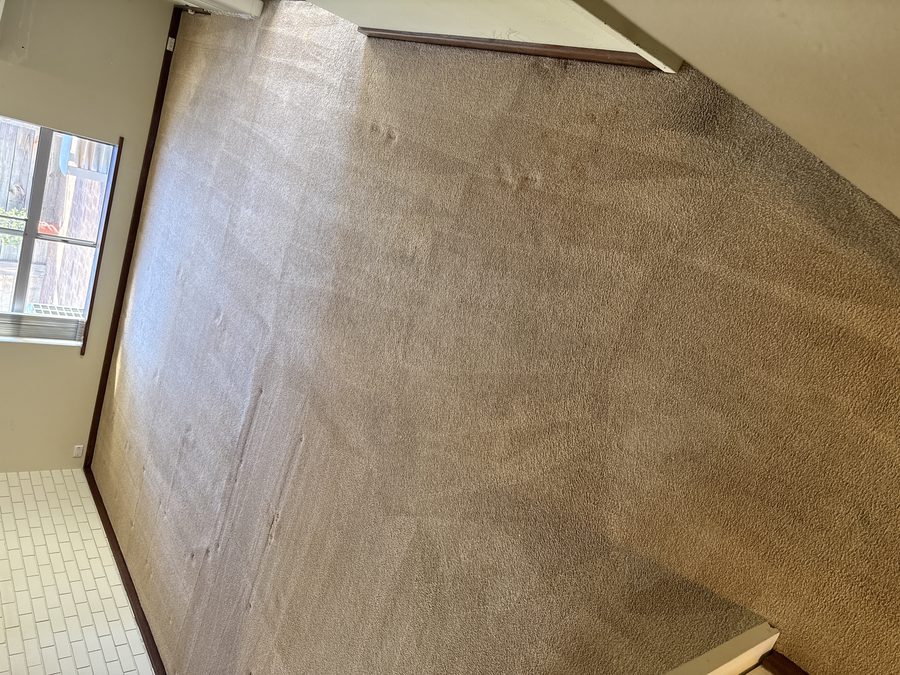 Room 2 in Bayswater after ProFresh cleaning