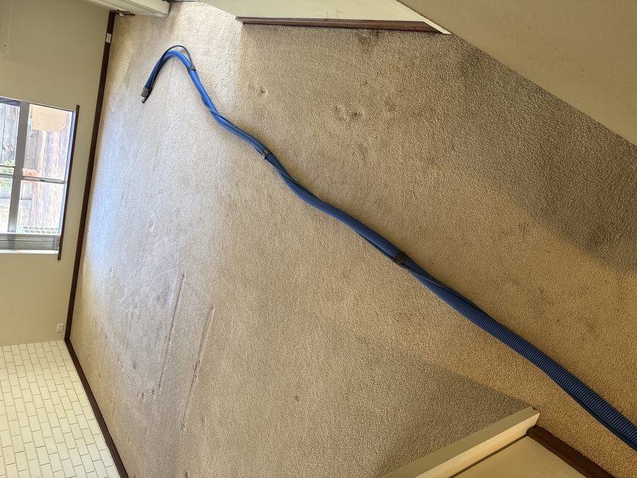 Room 2 in Bayswater before cleaning