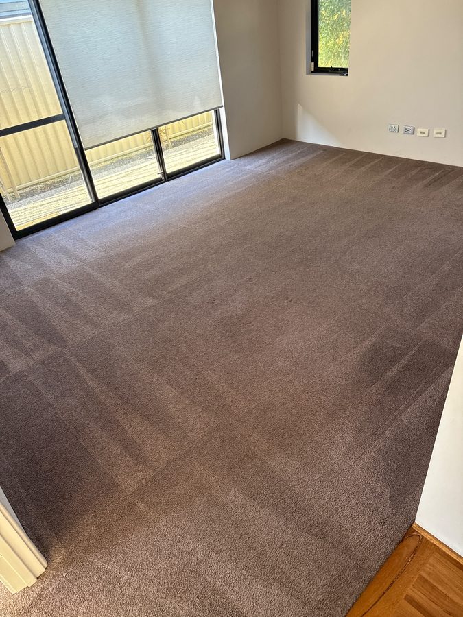 Room 2 in Bayswater after ProFresh cleaning