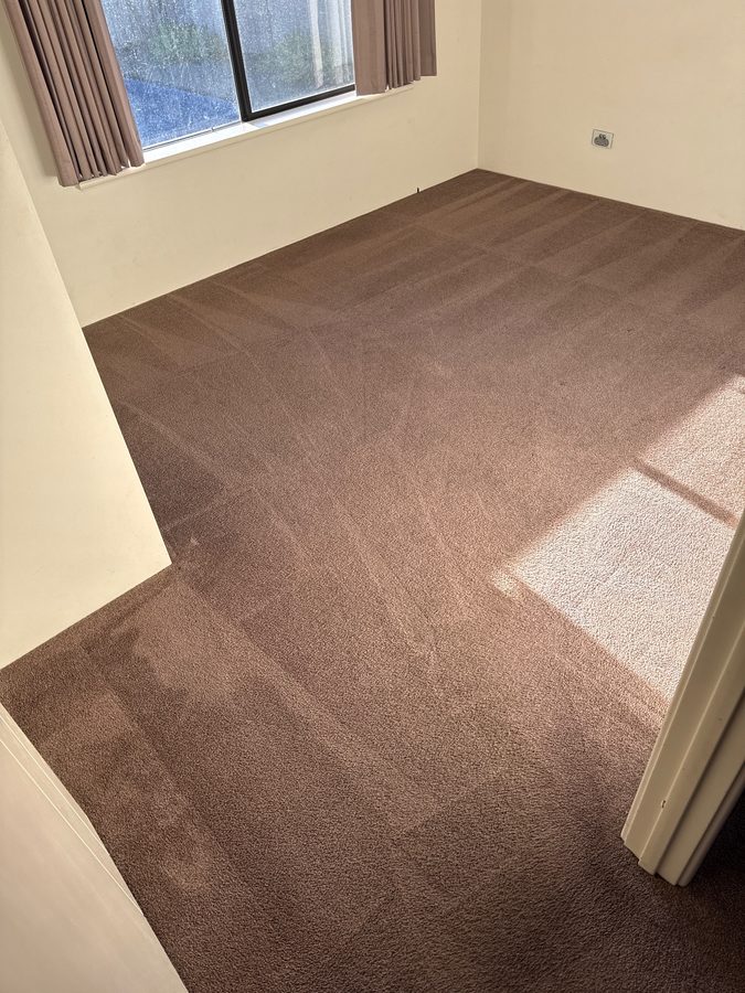 Room 1 in Butler after ProFresh cleaning