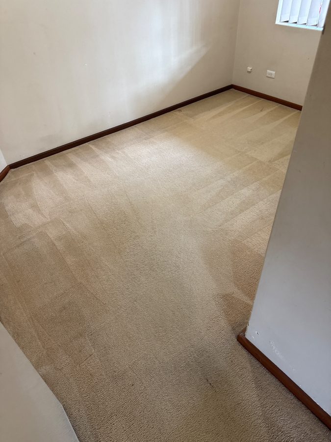 Room 3 in Clarkson after ProFresh cleaning