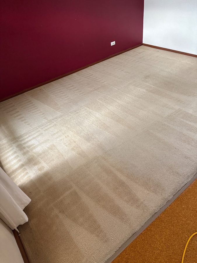 Room 4 in Ellenbrook after ProFresh cleaning