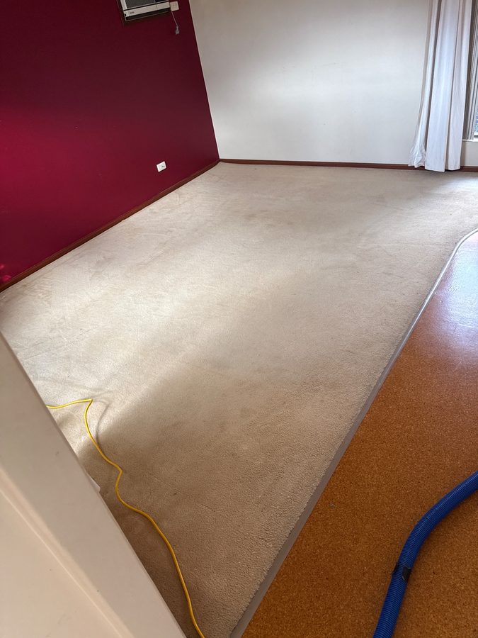Room 4 in Ellenbrook before cleaning