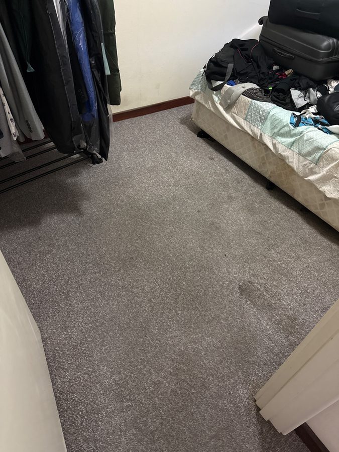 Room 1 in Landsdale after ProFresh cleaning