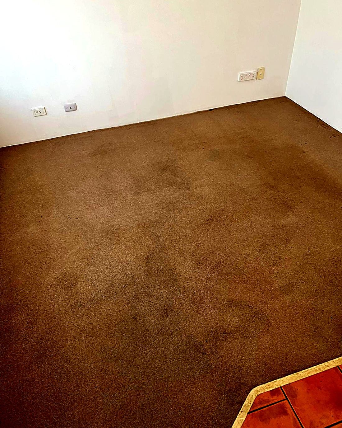 A spilled, stained carpet lifted back to clean, after ProFresh cleaning