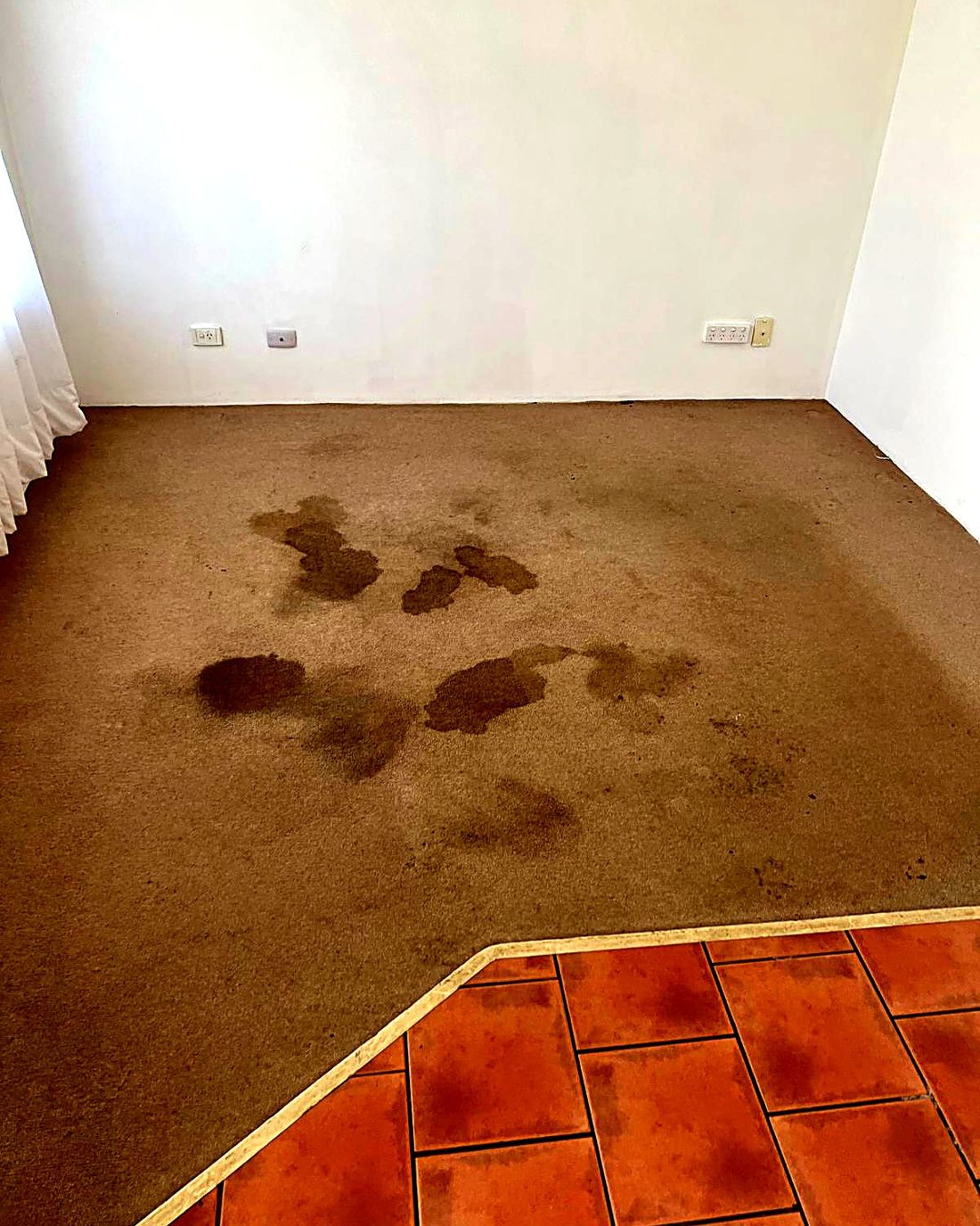 A spilled, stained carpet lifted back to clean, before ProFresh cleaning