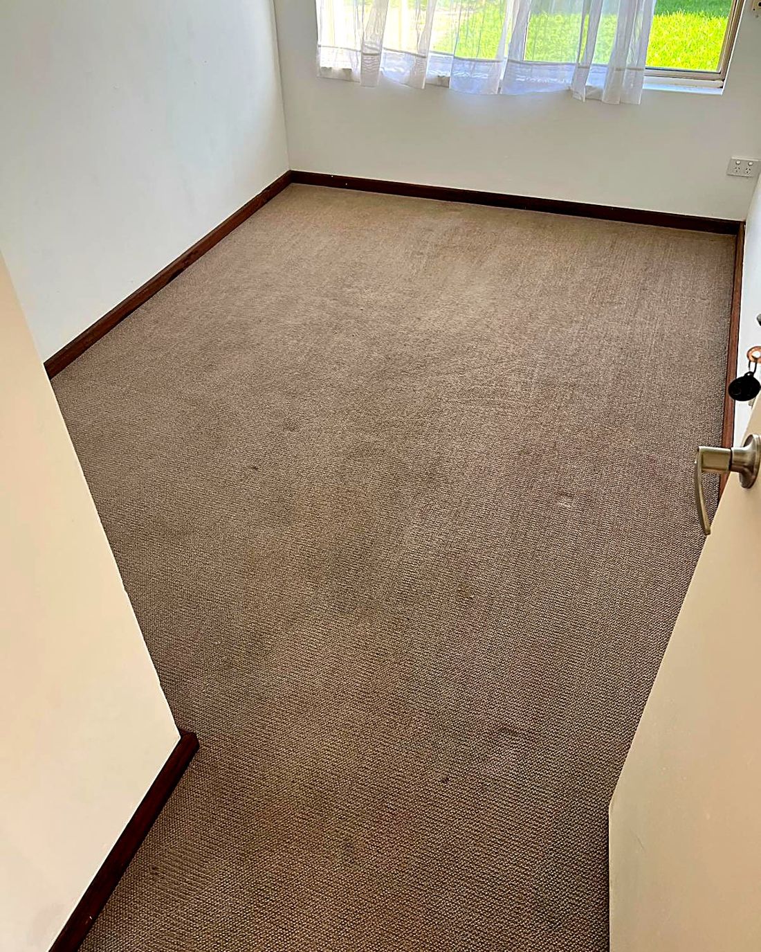 Set-in stains treated and reduced, after ProFresh cleaning