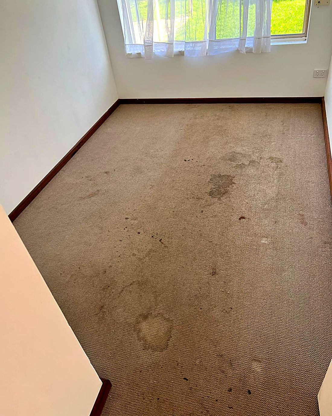 Set-in stains treated and reduced, before ProFresh cleaning