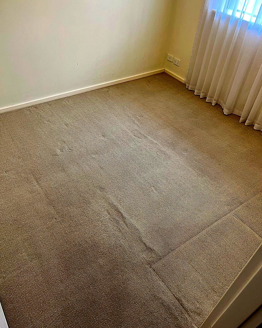 Traffic lanes refreshed across a lounge, after ProFresh cleaning