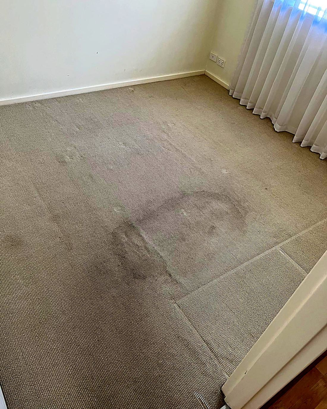 Traffic lanes refreshed across a lounge, before ProFresh cleaning