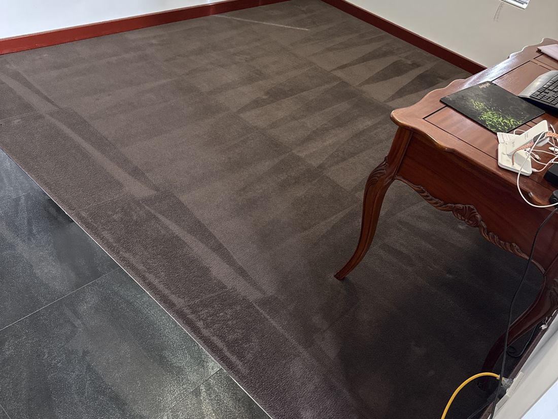 A tired lounge carpet brought back to life, after ProFresh cleaning